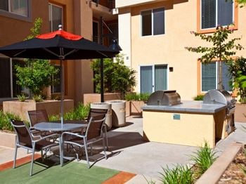 Picnic areas and barbecue grills